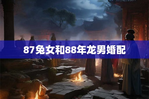 87兔女和88年龙男婚配