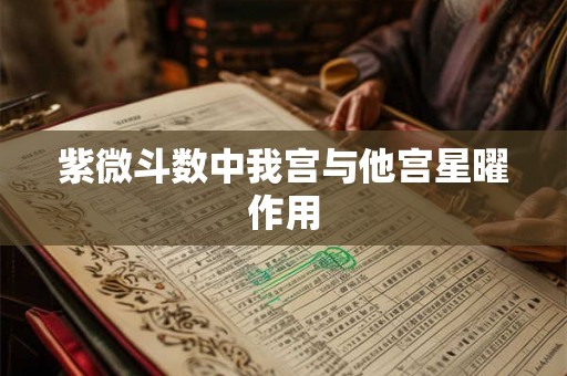 紫微斗数中我宫与他宫星曜作用 紫微斗数中我宫与他宫星曜作用