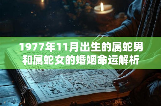 1977年11月出生的属蛇男和属蛇女的婚姻命运解析 1977年11月出生的属蛇男和属蛇女的婚姻命运解析