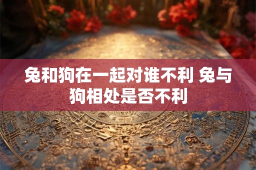 兔和狗在一起对谁不利 兔与狗相处是否不利 兔和狗在一起对谁不利 兔与狗相处是否不利