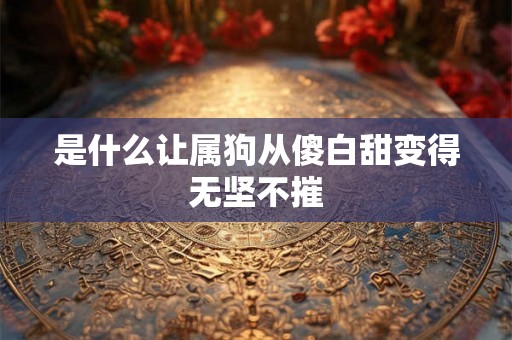 是什么让属狗从傻白甜变得无坚不摧