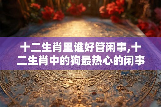 十二生肖里谁好管闲事,十二生肖中的狗最热心的闲事王 十二生肖里谁好管闲事,十二生肖中的狗最热心的闲事王