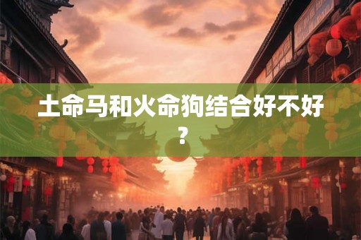 土命马和火命狗结合好不好？