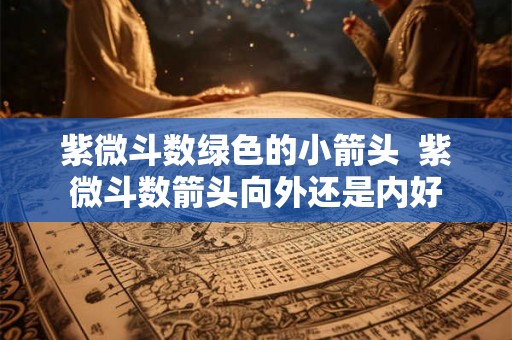 紫微斗数绿色的小箭头 紫微斗数箭头向外还是内好 紫微斗数绿色的小箭头 紫微斗数箭头向外还是内好
