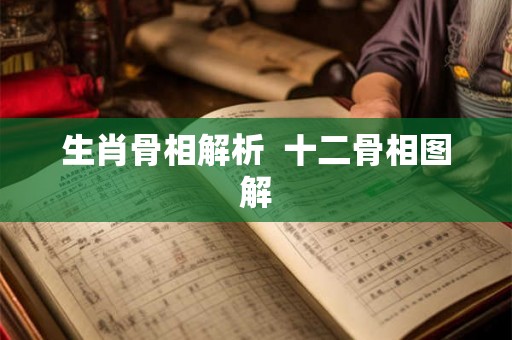 生肖骨相解析  十二骨相图解