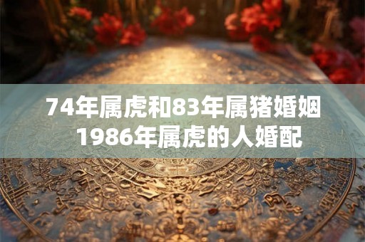 74年属虎和83年属猪婚姻  1986年属虎的人婚配