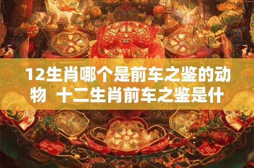 12生肖哪个是前车之鉴的动物  十二生肖前车之鉴是什么动物