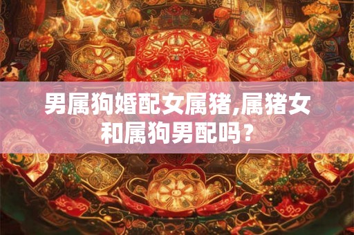 男属狗婚配女属猪,属猪女和属狗男配吗？