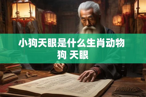 小狗天眼是什么生肖动物 狗 天眼