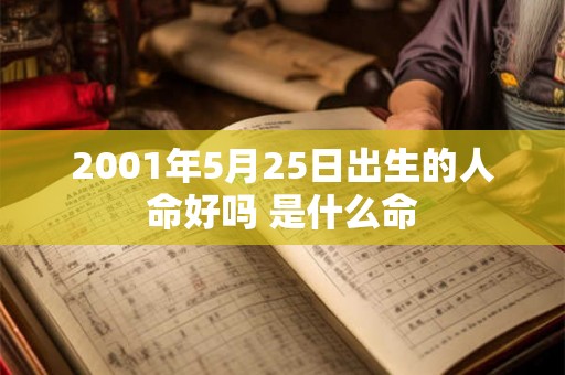 2001年5月25日出生的人命好吗 是什么命