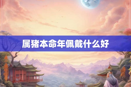 属猪本命年佩戴什么好