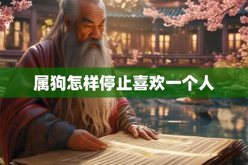 属狗怎样停止喜欢一个人