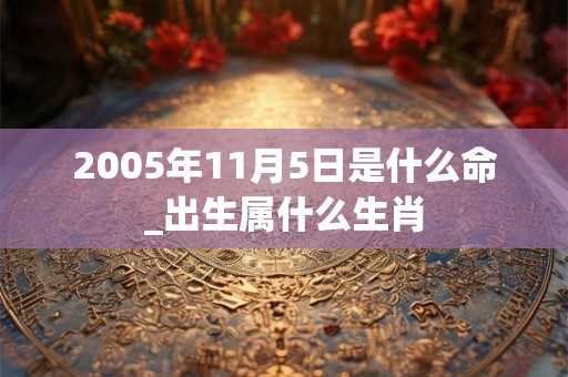 2005年11月5日是什么命_出生属什么生肖