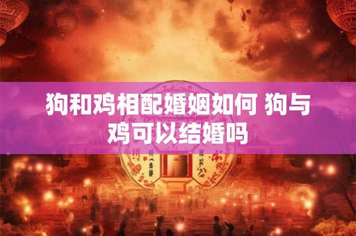 狗和鸡相配婚姻如何 狗与鸡可以结婚吗