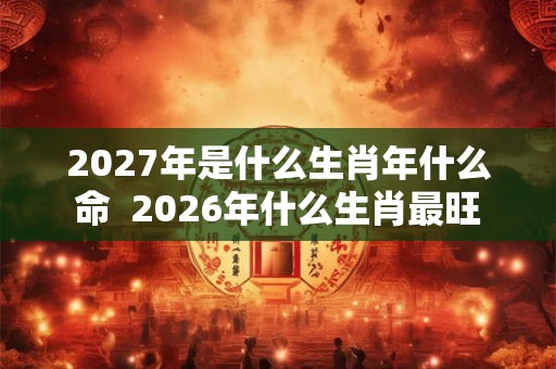 2027年是什么生肖年什么命  2026年什么生肖最旺