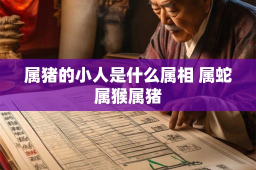 属猪的小人是什么属相 属蛇属猴属猪