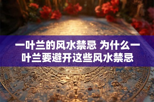 一叶兰的风水禁忌 为什么一叶兰要避开这些风水禁忌