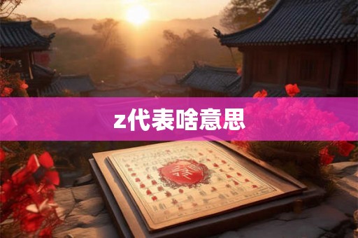 z代表啥意思