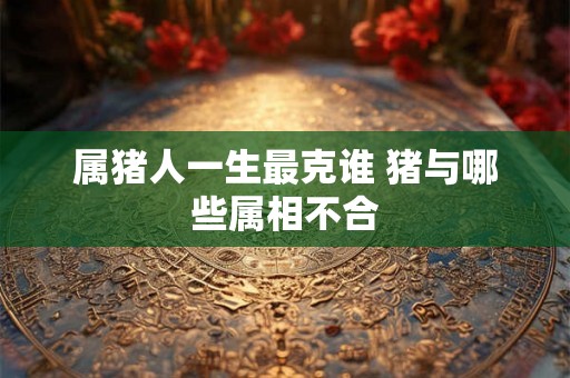 属猪人一生最克谁 猪与哪些属相不合