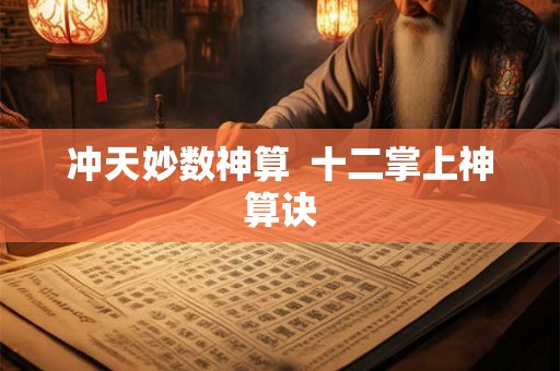 冲天妙数神算  十二掌上神算诀
