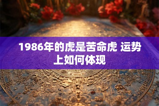 1986年的虎是苦命虎 运势上如何体现