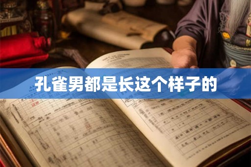 孔雀男都是长这个样子的