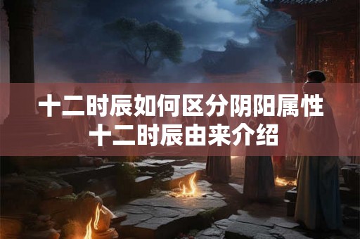 十二时辰如何区分阴阳属性 十二时辰由来介绍 十二时辰如何区分阴阳属性 十二时辰由来介绍