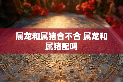 属龙和属猪合不合 属龙和属猪配吗