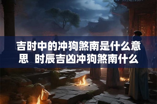 吉时中的冲狗煞南是什么意思  时辰吉凶冲狗煞南什么意思