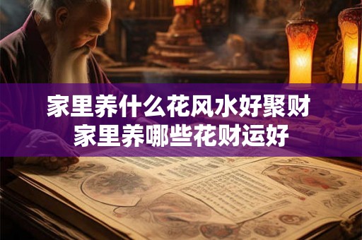 家里养什么花风水好聚财 家里养哪些花财运好 家里养什么花风水好聚财 家里养哪些花财运好