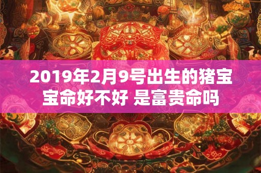 2019年2月9号出生的猪宝宝命好不好 是富贵命吗