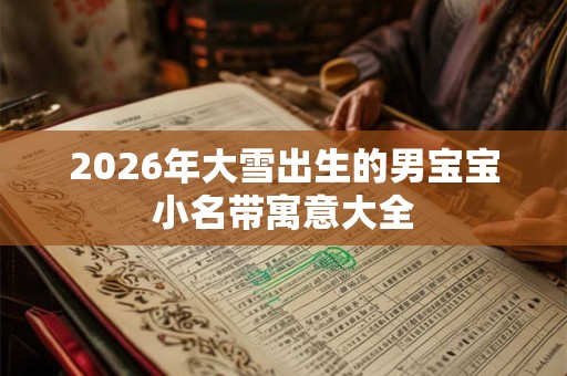 2026年大雪出生的男宝宝小名带寓意大全