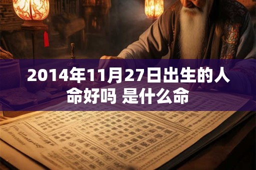 2014年11月27日出生的人命好吗 是什么命
