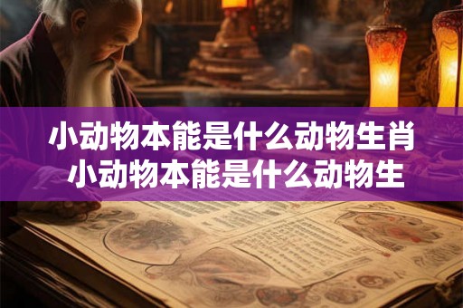 小动物本能是什么动物生肖 小动物本能是什么动物生肖呢
