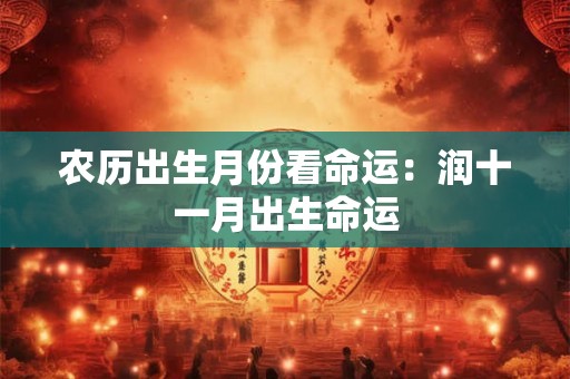 农历出生月份看命运：润十一月出生命运