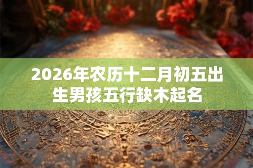 2026年农历十二月初五出生男孩五行缺木起名