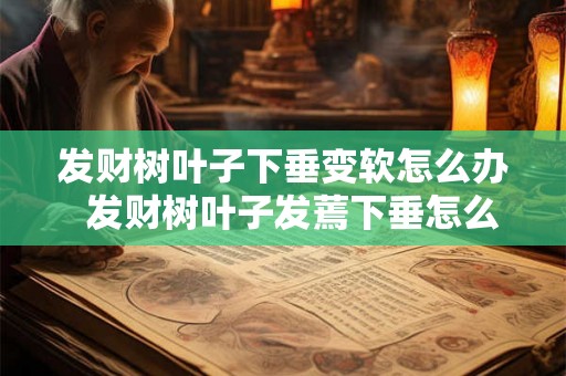 发财树叶子下垂变软怎么办 发财树叶子发蔫下垂怎么挽救 发财树叶子下垂变软怎么办 发财树叶子发蔫下垂怎么挽救