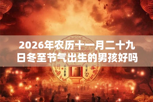 2026年农历十一月二十九日冬至节气出生的男孩好吗? 2026年农历十一月二十九日冬至节气出生的男孩好吗?