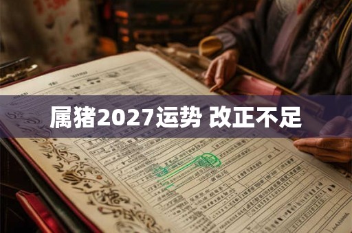 属猪2027运势 改正不足