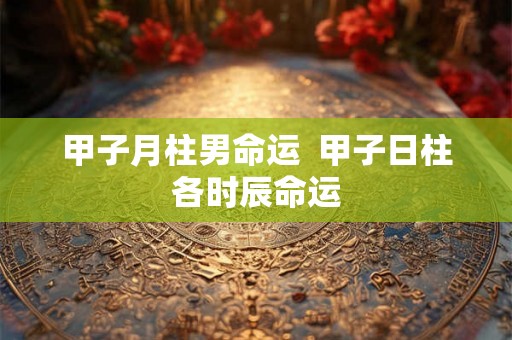 甲子月柱男命运  甲子日柱各时辰命运