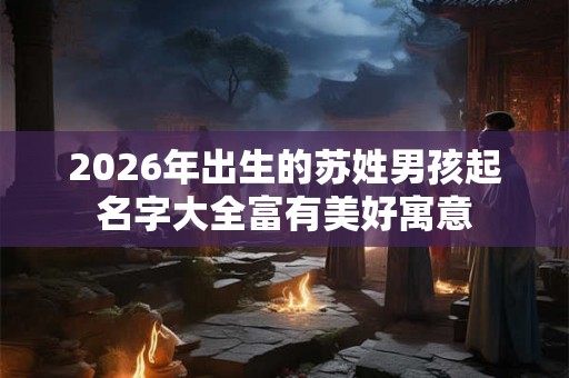 2026年出生的苏姓男孩起名字大全富有美好寓意