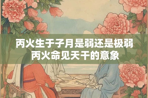 丙火生于子月是弱还是极弱 丙火命见天干的意象