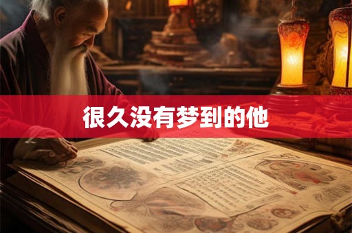 很久没有梦到的他