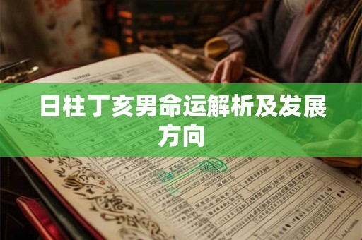 日柱丁亥男命运解析及发展方向