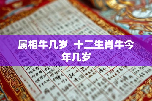 属相牛几岁 十二生肖牛今年几岁 属相牛几岁 十二生肖牛今年几岁