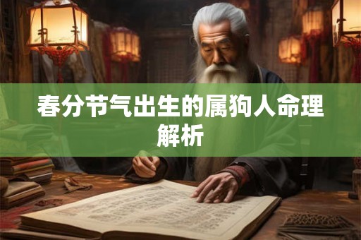春分节气出生的属狗人命理解析