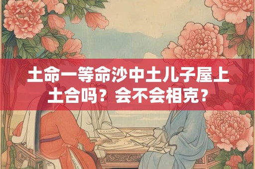 土命一等命沙中土儿子屋上土合吗?会不会相克? 土命一等命沙中土儿子屋上土合吗?会不会相克?