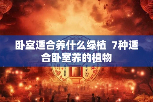 卧室适合养什么绿植  7种适合卧室养的植物