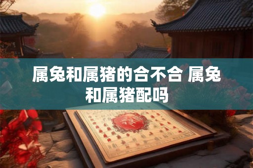 属兔和属猪的合不合 属兔和属猪配吗