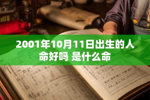 2001年10月11日出生的人命好吗 是什么命